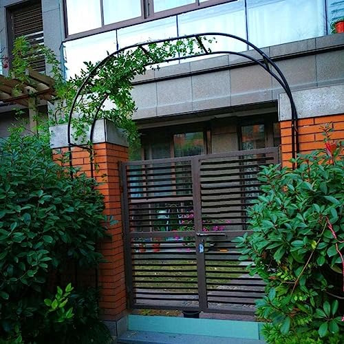 Arche de jardin en métal robuste – Grande tonnelle de roses pour plantes grimpantes décoration de mariage – Disponible en 120 cm, 140 cm, 180 cm, 240 cm de largeur – Structure de support