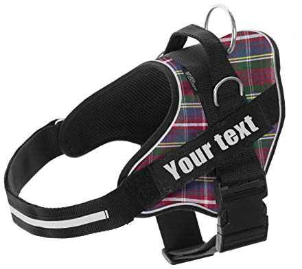 MR. DOGGY Hundegeschirr, personalisierbar, mit Namen, klein, mittel und groß, reflektierend, robust und langlebig, inklusive 2 austauschbaren Etiketten (Scottish, XS 3-7KG)
