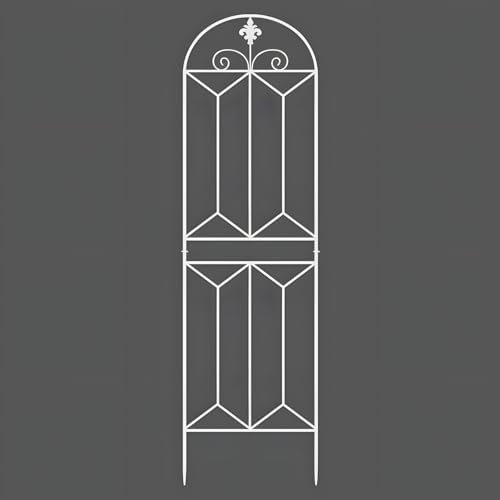 QMIYCLRJ Étagère à grilles for Escalade de lianes, Meuble en Fer forgé for Fleurs, Support for Clematis, Rose, et Rosier, for Balcon intérieur, Jardin, Cour, et clôture(50 * 180cm(19.7 * 70.9in))