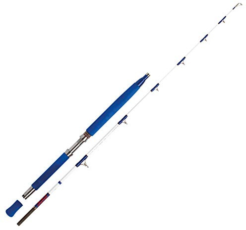 WFT Meeresrute Angelrute - Electra Speedjig Spezialrute 2,00m 1000g 30lbs