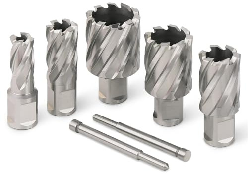 12-60 mm HSS-Ringschneider-Kernbohrer, 19 mm Weldon-Schaft, Hohllochsägenschneider for Metall- und Stahlschneidwerkzeug(20mmX25mm)