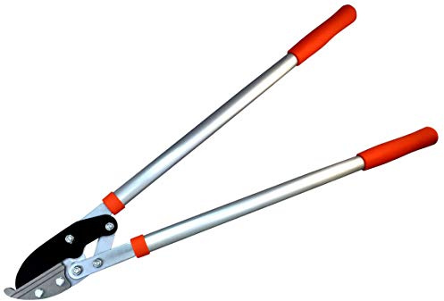 Riegolux 890181 Podadera 2 Manos con Yunque, 750 mm