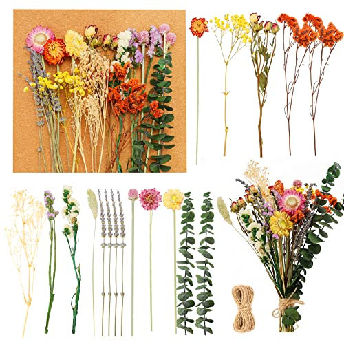30 Stück Natürliche Getrocknete Blumen,11 Sorten Echte Trockenblumenstrauß Trockenblumen Deko für Vase,Kunst Basteln Handwerk,Tischdekoration DIY Dry Flower Bouquet Set