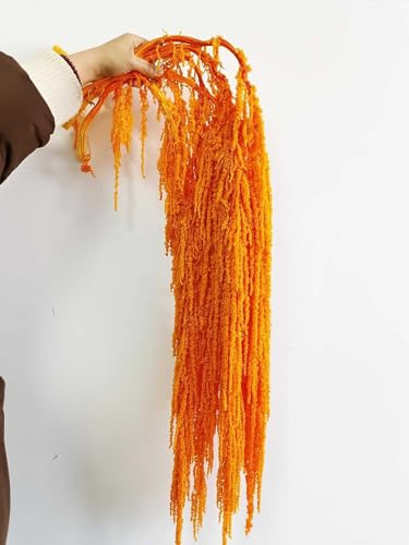 Vid de glicina de amaranto preservada seca para decoración de boda, ramo floral colgante para pared del hogar o centro de mesa