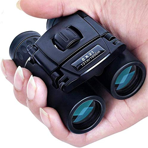 JIEZM Geschenk für Camping-Teleskope, 8 x 21, kompaktes Zoom-Fernglas, große Reichweite, 1000 m, zusammenklappbar, leistungsstarkes Mini-Teleskop, Bak4, FMC-Optik, Sport, Camping