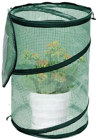 Piccola serra per esterni, serra pop-up, pieghevole, serra da tavolo, tenda compatta per piante, per terrazza, balcone, cortile, giardino