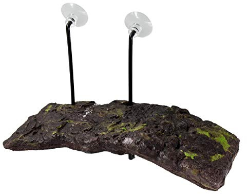 Zoo Med TD-10e Turtle Dock SM Sonnenplatz für Wasserschildkröten - passt sich automatisch an den Wasserstand an, Small