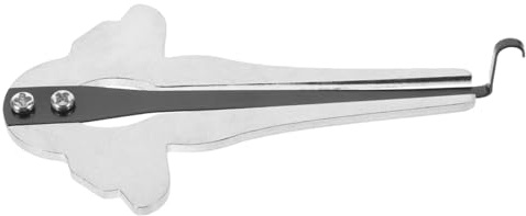 FRCOLOR Traditionelle Maultrommel aus Metall Einfach zu Spielen Silber für Meditation und Entspannung Kompaktes Musikinstrument für Anfänger