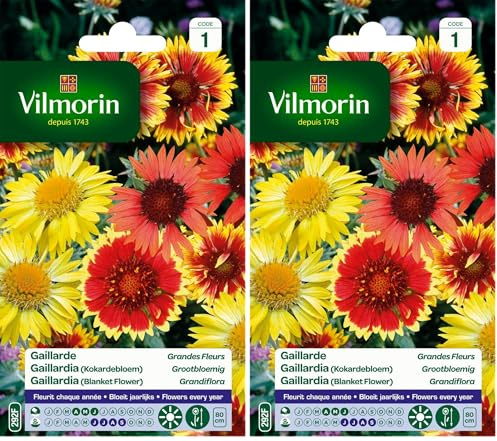 Vilmorin 5271241 Gaillarde variée à grande fleur Multicolore 9 x 0,5 x 16 cm (Lot de 2)