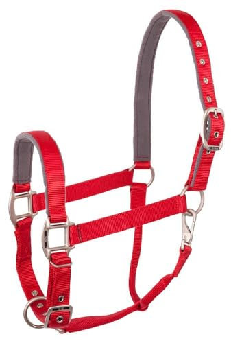 BR Halfter Event Nylon - Size Full