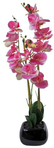 Leaf 70cm Artificial Orchid with Black Ceramic Planter Künstlicher Orchideen-Übertopf, 65 cm, Verschiedene Materialien, Hellrosa/Schwarz, 70 cm