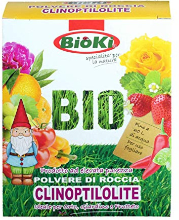 Antika Officina Botanika Polvere di Roccia a Base di Zeolite Cubana/clinoptilolite, barriera Naturale muffe e Funghi, Astuccio da 250 g