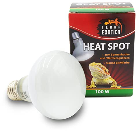 Terra Exotica Heat Spot 100 Watt -3er Pack- Wärmestrahler für Reptilien - 25W, 40W, 60W, 75W, 100W, 150W - Terrarium Wärme Spotstrahler - Terrarienbeleuchtung - Wärmelampe (3, 100 W)