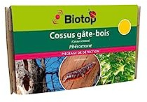 Biotop - Phéromone Cossus gâte-Bois (2 Capsules)