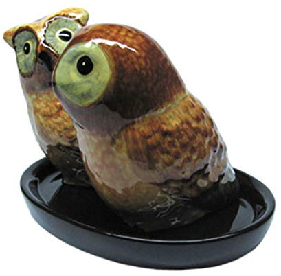 Windhorse Salière et poivrière en céramique Motif chouettes Marron Avec plat noir 10017