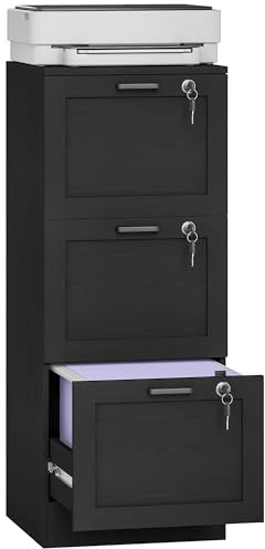 HOMCOM 2 Drawer File Cabinet with Lock Adjustable Hanging Bars for A4 Black | Office, Vertical Filing Cabinet, Letter Size File Folders, Printer Stand with Storage
