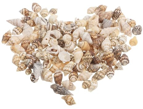 HOODANCOS Kleine Natürliche Meeresmuscheln 125g Spiralförmige Strandmuscheln für Selbstgemacht Bastelarbeiten Aquarium und Vasenfüllung Maritimes Küstenflair für Wohn und Basteldekor