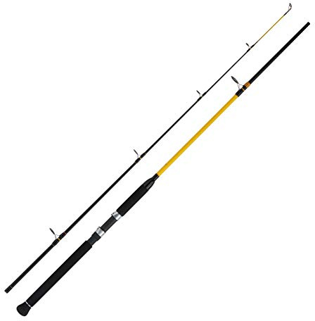 WFT Norwegen Rute Angelrute Angeln - Never Crack Big Fish 2,40m 150-700g