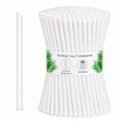 DeinPack 100 Bubble-Tea Mehrweg-Trinkhalme 20 cm Ø12 mm transparent - Einzeln Gehüllt