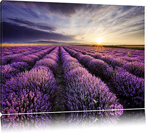 Pixxprint Traumhafte Lavendel Provence, Größe: 120x80cm, Leinwandbild, fertig gespannt, Wandbild, Dekoration, Kunstdruck, kein Poster