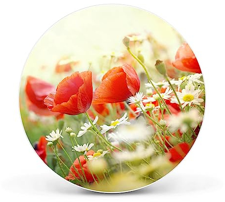 banjado Magnettafel Ø 47cm Weiß - Magnetwand aus Metall - Magnetpinnwand als Memoboard - Pinnwand Magnettafel Küche, Büro, Kinderzimmer inkl. 4 Magnete & Montageset - Kamille Und Mohn