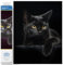 DIAMOND DOTZ DD5.001 - Original 5D Diamond Painting Set Mitternacht Katze, Kreativset mit 4.389 Diamant Mosaiksteinen, Malset ca. 36 x 28 cm, DIY Komplettset für Erwachsene und Kinder ab 8 Jahren