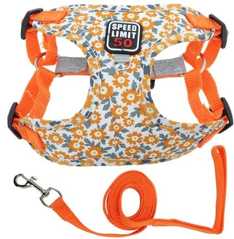 CAPASTEC Harnais Et Laisse pour Chien Chiot avec Bande Réfléchissante, Harnais pour Animal Ajustable pour Promenades, Harnais pour Chien Chat De Taille Petite Moyenne, M, Orange