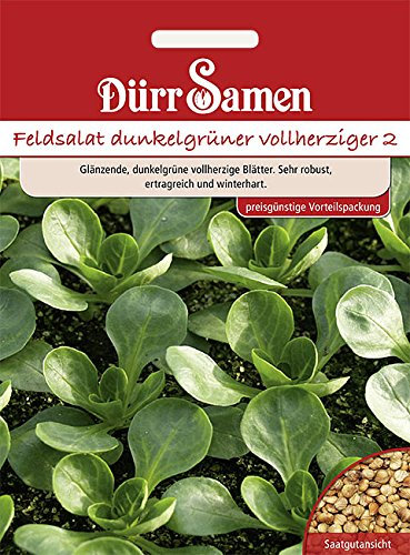 Dürr-Samen - Feldsalat Dunkelgrüner vollherziger (Vorteilspackung) Saatgut