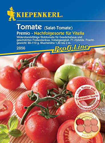 Kiepenkerl 2856 Salat-Tomate Prémio F1, sehr widerstandsfähige ertragreiche Tomatensorte mit kräftigem Stamm, für Gewächshaus und Freiland