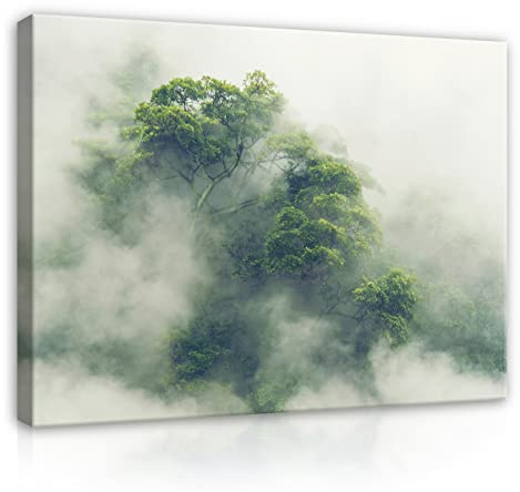 WallArena Leinwand Bilder 60x40 cm | Wald Nebel Natur Landschaft, Leinwandbilder, Bild auf leinwand, Format: 60x40 cm (BxH) - einteilig auf Canvas