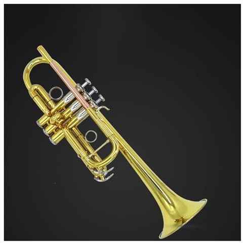 Trompete Professionelles Musikinstrument C-Trompete geeignet für Anfänger