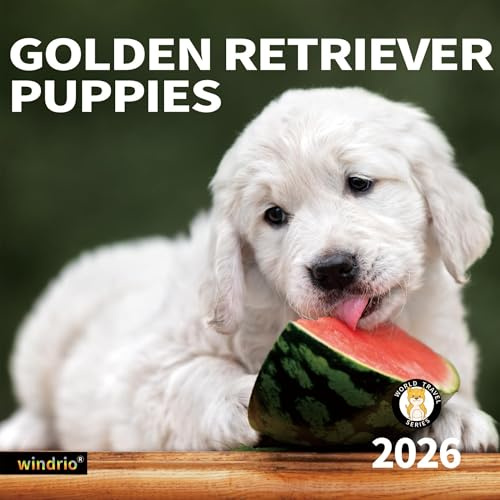 2026 Wall Calendar,Calendar 2026, November 2025 - December 2026, Wall Calendar Golden Retriever Puppies, 12 x 24 Opened,Full Page Months Thick & Sturdy Paper for Gift Calendar Organizing & Planning