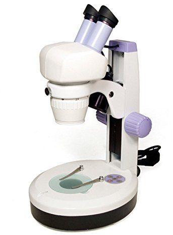 Microscopio Estereoscópico Levenhuk 5ST (20–40x) para Observaciones en 3D de Joyas, Minerales, Monedas y Otros Objetos de Interés