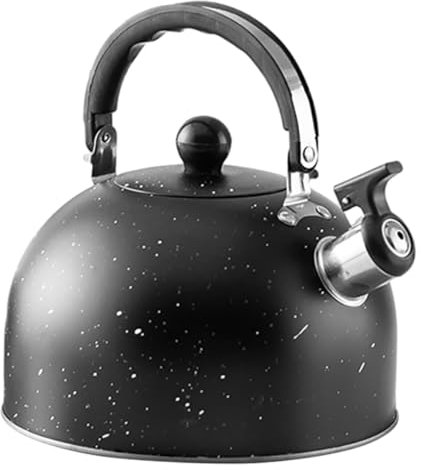 MOLUCKFU Bouilloire Sifflet Théière Pour Cuisinière Induction Électrique Et Design Pratique Pour Maison Et Restaurant