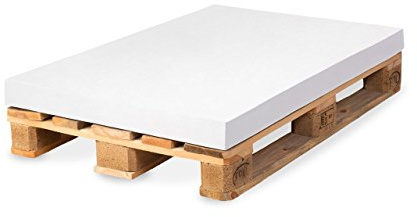 TexDeko Palettenkissen Schaumstoff 120x80x10cm Härtegrad RG 2542 Mittelhart gemütliches Matratzenkissen ÖKO-TEX Zertifiziert Hundekissen Palettenauflage, Made in EU