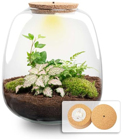 Terrarium DIY Kit - Emma - DIY kit - ↑ 25 cm - Ø 23 cm
