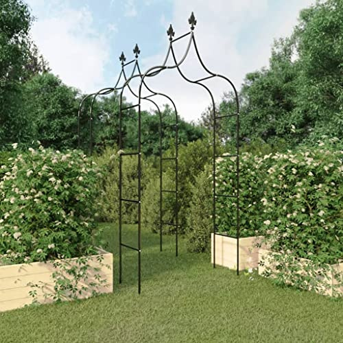 Genérico Arcos de jardín 2 uds Acero Negro 120x38x260 cm,Casa y jardín,Jardín,Artículos de Exterior,Estructuras de Exteriores,Pérgolas, Arcos y enrejados de jardín-319349