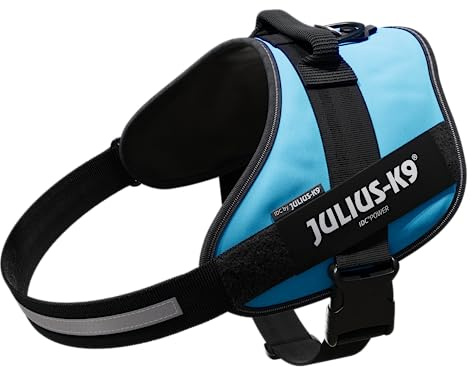 Julius K9 16IDC-AM-4 IDC-Powergeschirr mit Logofeld, Gr. 4, aquamarine
