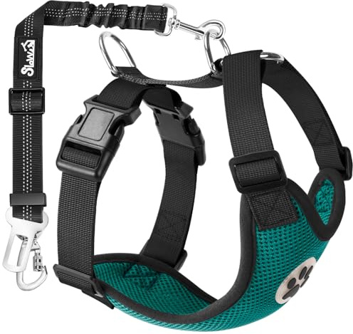 Eyein Hundegeschirr mit 2-in-1 Sicherheitsgurt für Auto, Mesh Atmungsaktiv