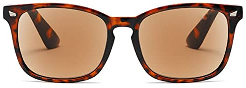 ABETOS Sonnenbrille Lesebrille Damen Herren Getönte Lesebrillen mit Sonnenschutz Retro Klassischer Lesehilfe Sehhilfe mit Sehstärke