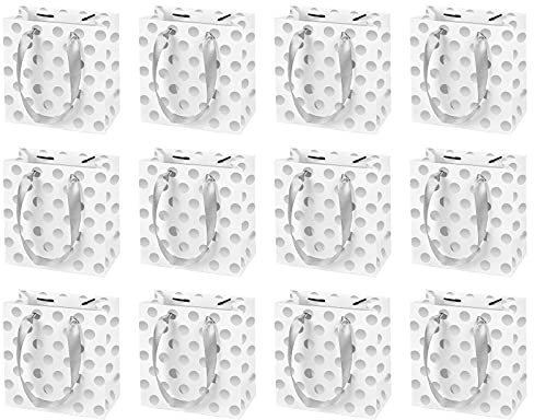 Jinlaili 12 Stk Geschenktüte Klein mit Henkel, Papiertüten für Geschenke, 14 x 15 x 7cm Geschenktüten Papier mit Griffen, Weiß Geschenktüten Klein für Geburtstag, Hochzeit Party (Silber)