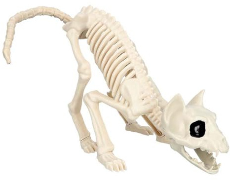 Boland - Dekoration Skelett Katze, 50 x 15 x 17 cm | Knochengerüst für Halloween, Karneval und Horror Mottoparty, Kater, Tiere