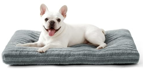 Pawk Hundebett Kleine Hunde, Hundekissen Waschbar Flauschig, Hundekorb Weich Atmungsaktiv, rutschfeste Plüsch-Hundematte, 61x47x8cm