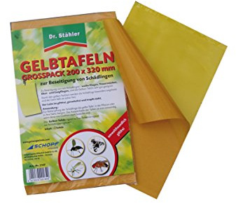 DR. STÄHLER Gelbtafeln groß, Großpackung, 25 Stück