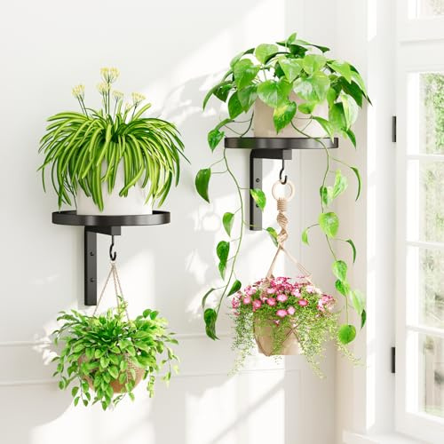 iDavosic.ly Wand Pflanzenhalter Metall 2er-Set, 2 Haken, Schwarz | Blumenständer Platzsparendes Wandregal Blumenregal für Pflanzen am Fenster, einfache Montage (Ohne Töpfe/Ketten/Pflanzen)