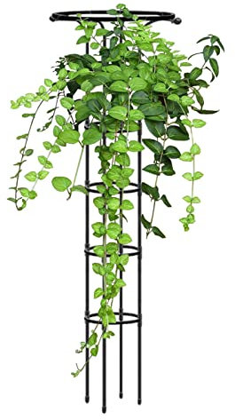 fanelod Topfpflanzen-Rankgitter – Regenschirmförmiges Rankgitter für Kletterpflanzen – Garten-Metallspalier für Topfpflanzen, 184,9 cm, Outdoor-Blumenstütze für Weinrebe, Efeu-Blumenpflanze