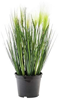 EUROPALMS Federgras, künstlich, weiß, 60cm | Deko-Gras mit fedrigen Blütenständen