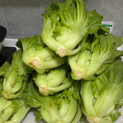 comprar semillas de mostaza de interior exóticas de mostaza orgánicas, raras de jardín perennes 60pcs