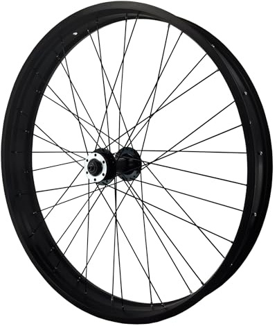 20/26 X 4,0pulgadas Rueda Delantera para Bicicleta Fat Bike Llanta De Aleación De Aluminio para Bicicleta De Nieve Freno De Disco Liberación Rápida 135mm Buje 36H(26'')