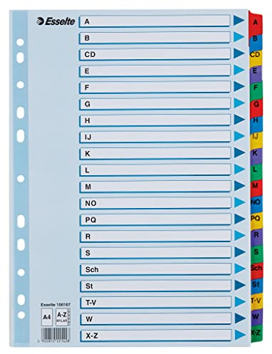 Leitz Esselte Register für A4, Deckblatt und 20 Trennblätter, Taben mit alphabetischem Aufdruck A-Z, Lochrand und Taben folienverstärkt (Mylar), Blau, Karton, 100167